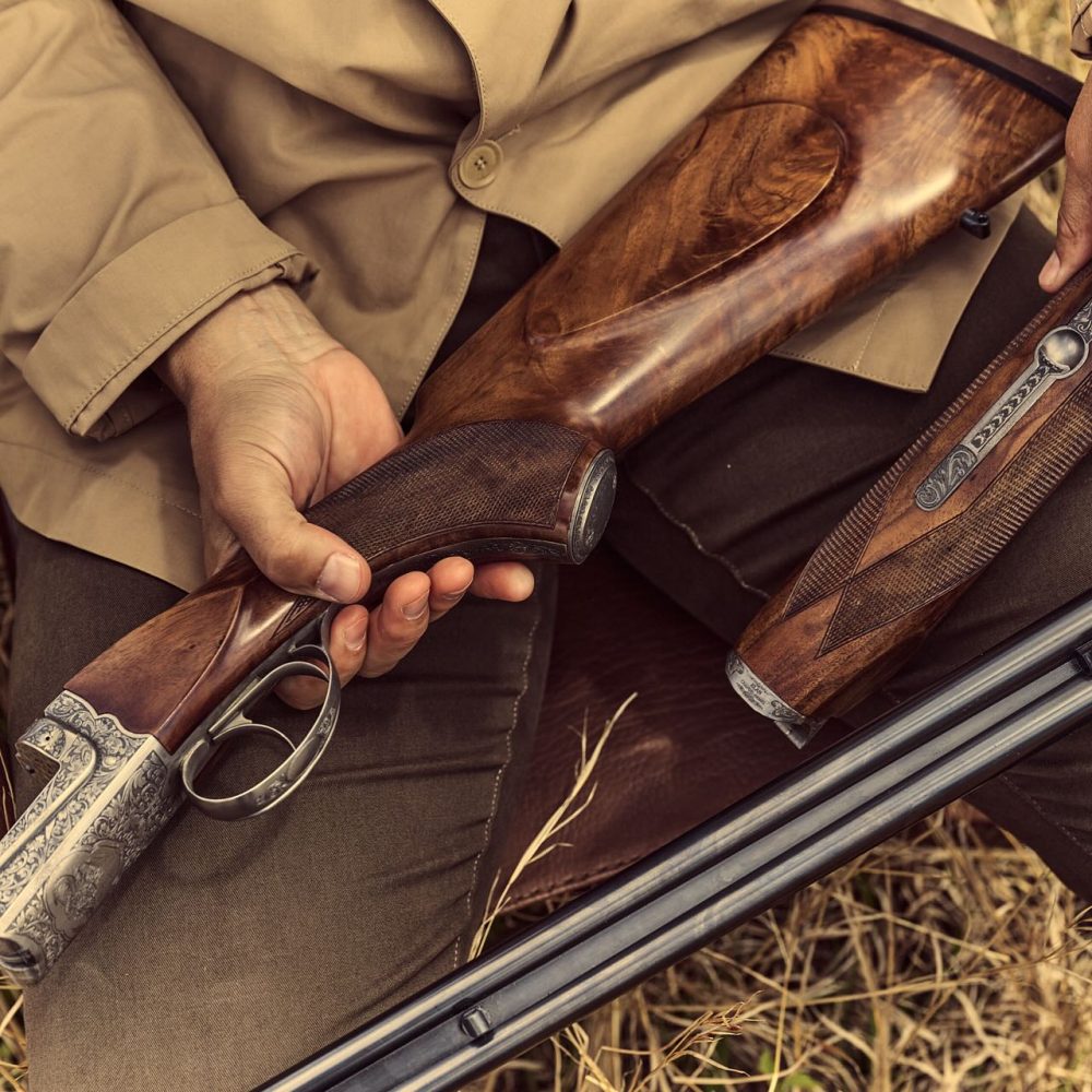 Chapuis Progress AGEX Brousse