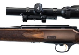 Rols_bascule_marron_zoom_9